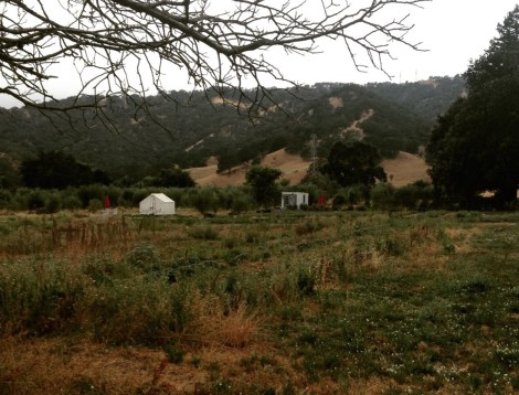 Soul Food Farm - Hipcamp